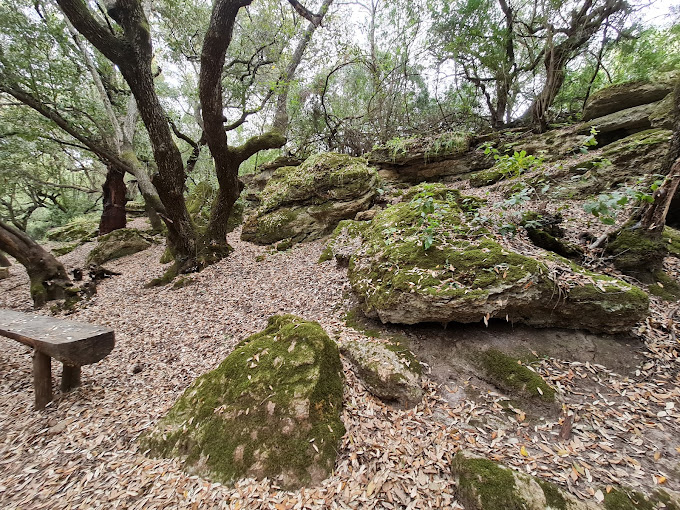 Fontana del Cacciatore
