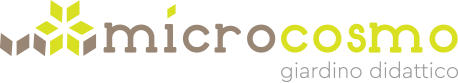 Microcosmo